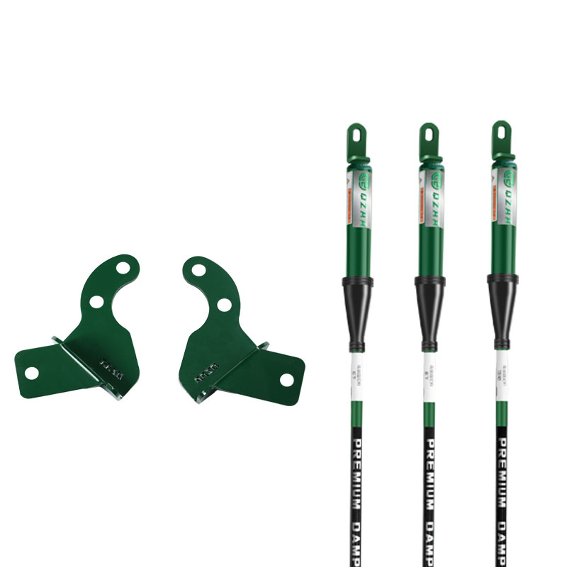 局部 QZAA suitable for BYD Dolphin upgrade original car shock absorber struts and reinforce the chassis SNHO Series Damping Rod